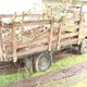 Illustration for article titled For $1,000, Go Deep In The Bush